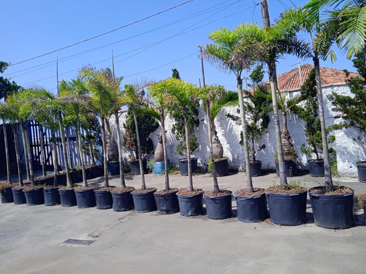 Pousada Sereia Jofisa Itanhaém Esterno foto