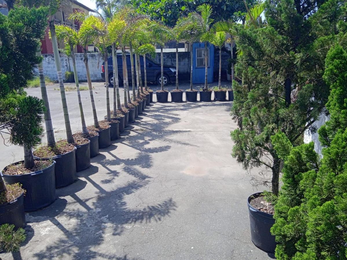 Pousada Sereia Jofisa Itanhaém Esterno foto